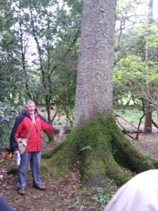 Parc Cefn Onn botanical walk 2012