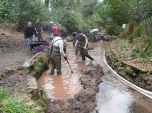 Top silt trap clearance 1 (web)